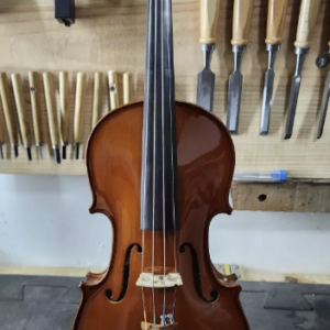 Violino Eagle Ajustado
